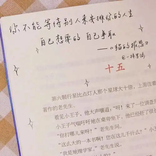 头像背景丨不合时宜及时止损