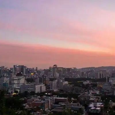 中年人微信头像风景或花草