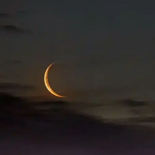 安奈ins风治愈系背景图等到苦风景静物头像我要个性网