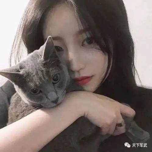 皮卡养猫千日然而用猫的时刻终于到了