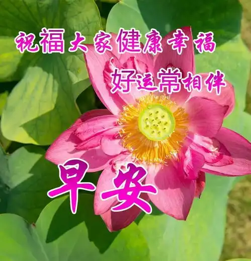 特别漂亮的早上好动态图片最新版,祝你开心幸福健康