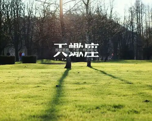 非常要强的三个星座女,只要肯努力,将来比男人还要成功