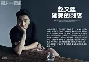 赵又廷硬壳的剥落