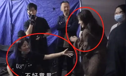 人间真实听见她说赵薇来到片场监督,杨紫下意识反应亮了