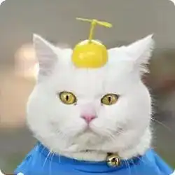 微信头像已经出卖了你的为人,不信