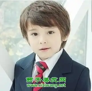 适合小男孩的发型如何打理7