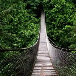 十一不堵车攻略,古道,廊桥,老宅,都在温州这个小县里