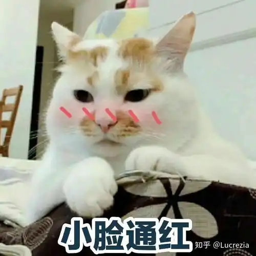 有没有突然发现自己有像言情小说女主的经历