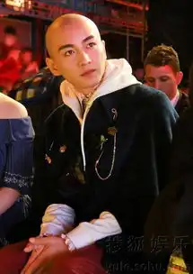 陈晓顶光头走秀帅气霸气英气都让他占了8733227