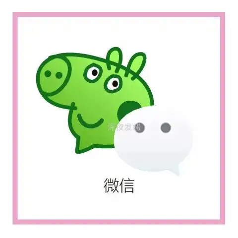 最近突然很火的一只猪