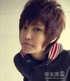 求适合男生烫的所有发型,及图片.高分