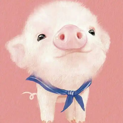 猫腻o视频直播全集猫腻o资料大全yy官方