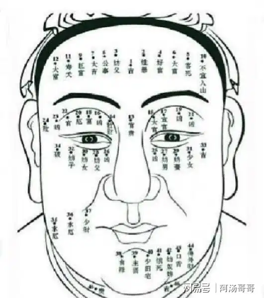 男人什么地方长痣会有福气