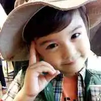 帅气狐狸的动漫图片微信头像图片大全