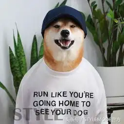 学网红穿搭成潮人,你的男友该学学这只柴犬