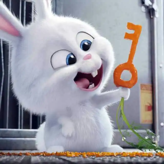 微信头像会影响第一印象吗