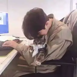 0视频直播全集0资料大全yy官方