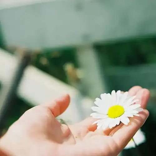 致女人愿你做一个内心有光的人