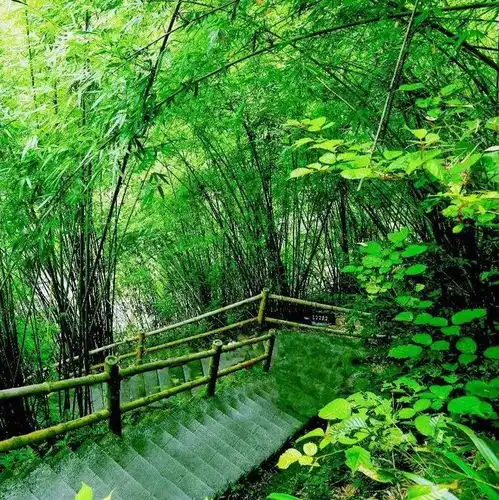 怎能不爱春天的阿依河