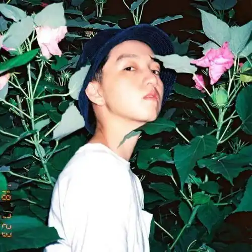 点赞的心动的情侣头像