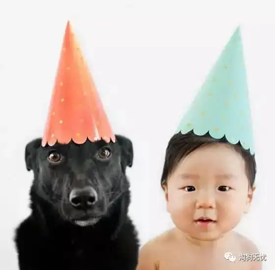 最萌拍档伪双胞胎的搞笑造型