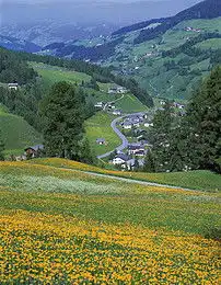 花海自然风景花地景色蓝天草地野花图片素材模板下载11.82mb其他大全标志丨符号