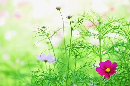 让人大彻大悟的经典句子,简短精湛,让你心如明镜