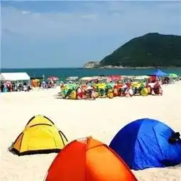 深圳四条观光线游玩攻略带你逛遍整个深圳
