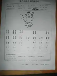 染色体核型分析结果染色体核型结果有谁能看懂帮忙回答下