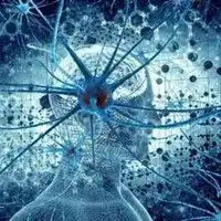 心理学头像适合心理学分析的头像