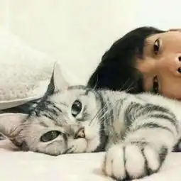 半价转租大house色彩清新