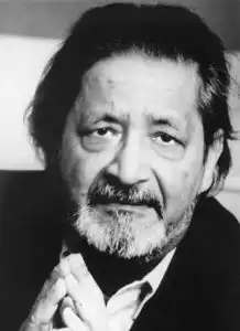 奈保尔的多重面具