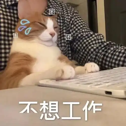 网红界的插刀教为洗白自家模特,亲自下场内涵好姐妹,然而评论翻车反被粉丝diss