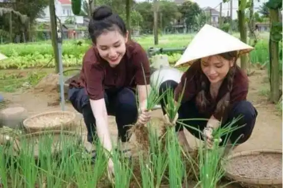 越南冷知识知道多少越南男人戴绿色帽子,颜色越深地位越高老挝越南人柬埔寨东南亚网易订阅