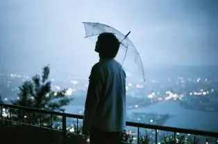 我只有一颗心,你看着伤吧