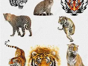 超酷老虎烈火虎头设计素材图片模板下载68.59mb其他大全生活工作