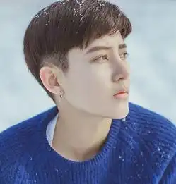 天天向上果然是网红照妖镜京城第一帅t林弯弯也被打回原形