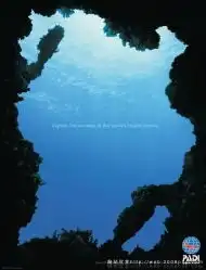 金色的阳光透过树林的阳光