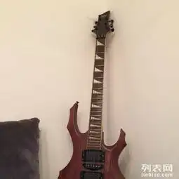 24品双摇摇滚电吉他便宜卖