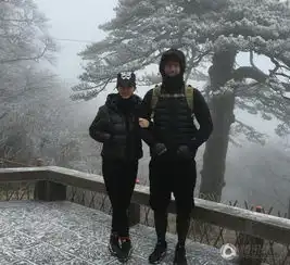 相约飙歌街边撸串刘翔吴莎同回住所