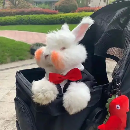 想求一点很可爱的兔子头像