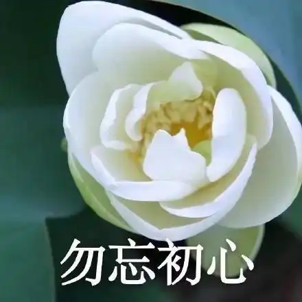 用惯了之前妖艳的表情包,快来试试这些另类清新素口味表情包吧