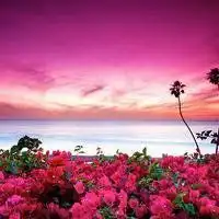 风景图片头像女生唯美微信头像图片大全