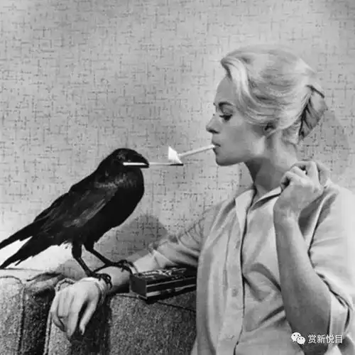 他的摄影是肖像经典的标志,震撼了无数人