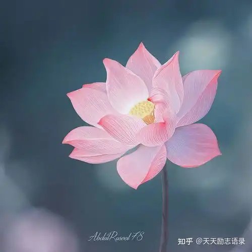 让人大彻大悟的佛语句子,值得收藏一生