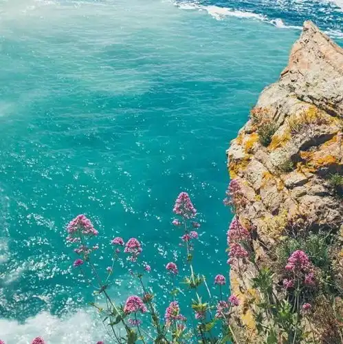 职场沟通技巧,学起来