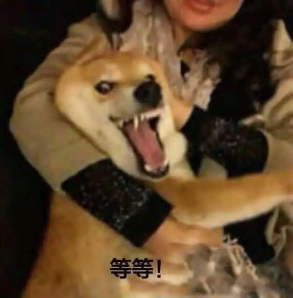 女生戴戒指的方法和意义是什么