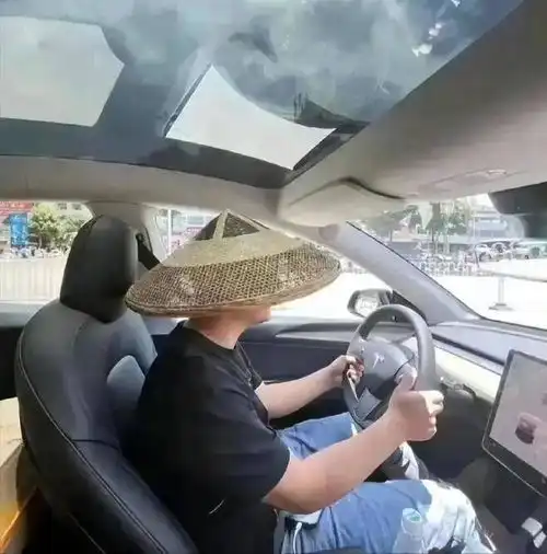 在全景天幕下打伞,电车车主迎来夏日大烤