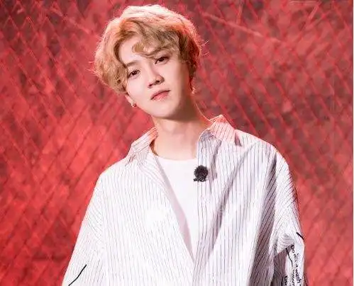 著名编剧评价小鲜肉可以多元化,但需要雄性意识很强的男演员