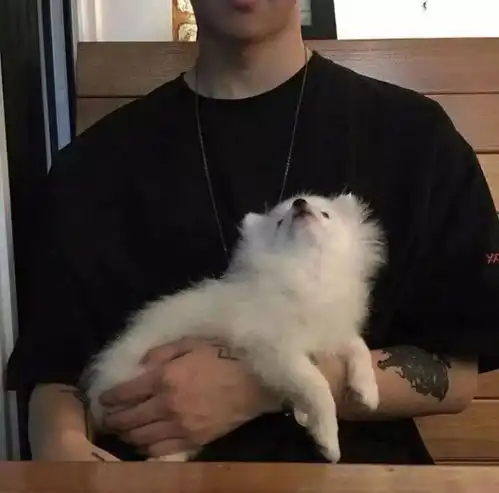 头像壁纸一往情深,夕照秋雨